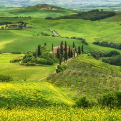 Wiosenna Toskania - Nowoczesny obraz na płótnie