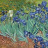 Irysy Vincent van Gogh - Reprodukcja obrazu na płótnie