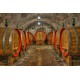 Beczki z winem w piwnicach Montepulciano