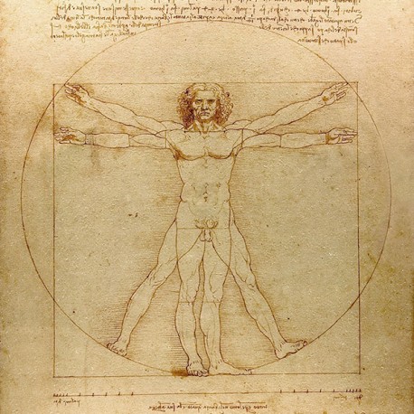 Człowiek witruwiański Leonarda da Vinci - Reprodukcja, obraz na płótnie
