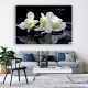 Biała orchidea - obraz na płótnie do salonu