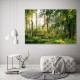 Piękny zielony las o poranku - Modny i nowoczesny obraz na ścianę z lasem