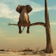 Słoń siedzący na suchej gałęzi - obraz na płótnie