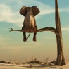 Słoń na suchej gałęzi - abstrakcyjny obraz na płótnie