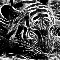 Abstrakcyjny tygrys - Nowoczesny obraz na płótnie