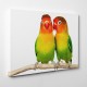 Papużki nierozłączki - obrazy drukowane na płótnie
